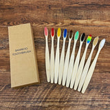 Natural Bamboo Tooth brush
